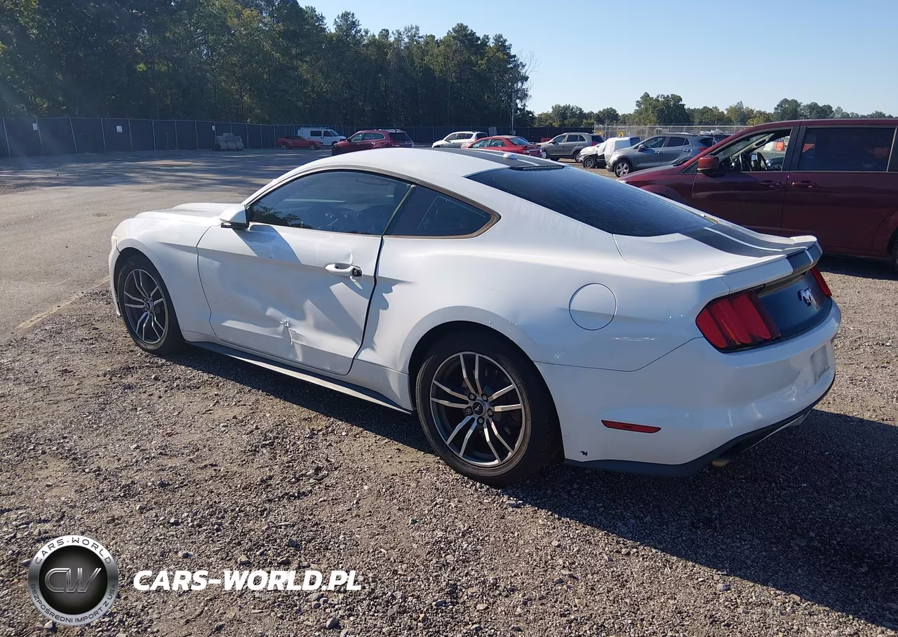 2015 Ford Mustang Ecoboost VIN:1FA6P8TH8F5314115 - 3