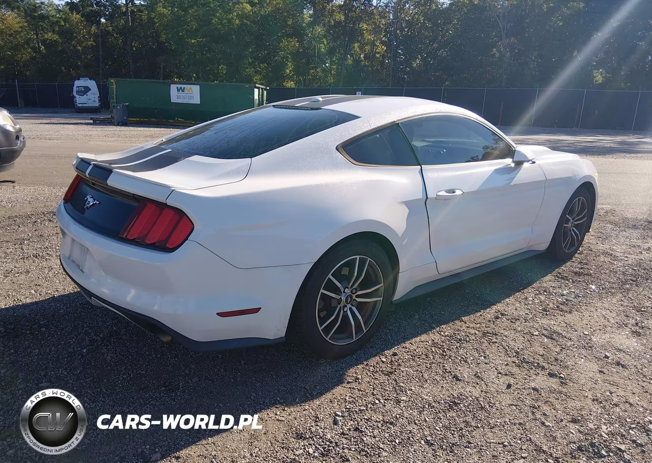 2015 Ford Mustang Ecoboost VIN:1FA6P8TH8F5314115 - 4
