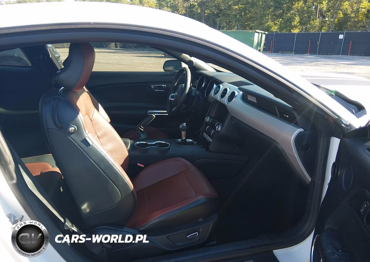 2015 Ford Mustang Ecoboost VIN:1FA6P8TH8F5314115 - 5