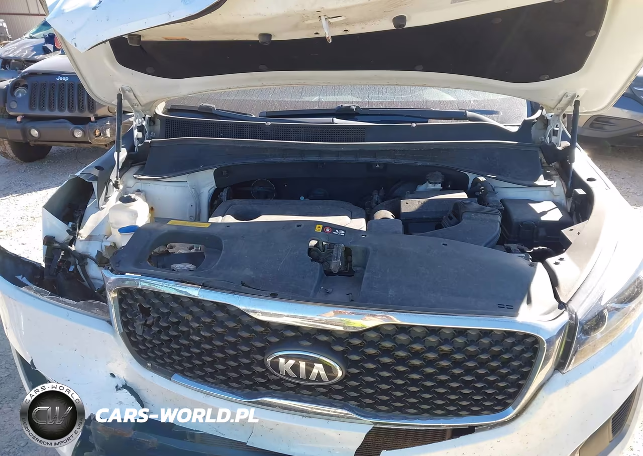 2016 Kia Sorento 2.4L Lx VIN:5XYPG4A36GG168935 - 10