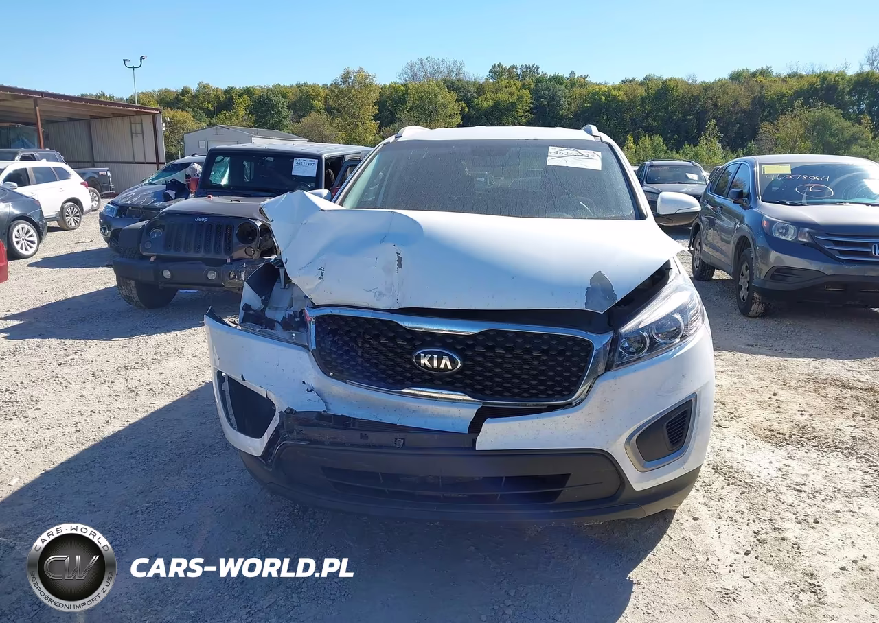 2016 Kia Sorento 2.4L Lx VIN:5XYPG4A36GG168935 - 12