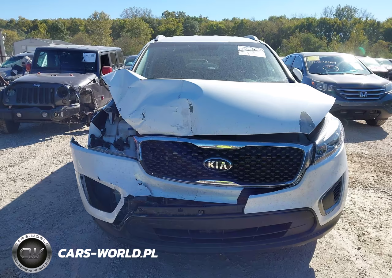 2016 Kia Sorento 2.4L Lx VIN:5XYPG4A36GG168935 - 6