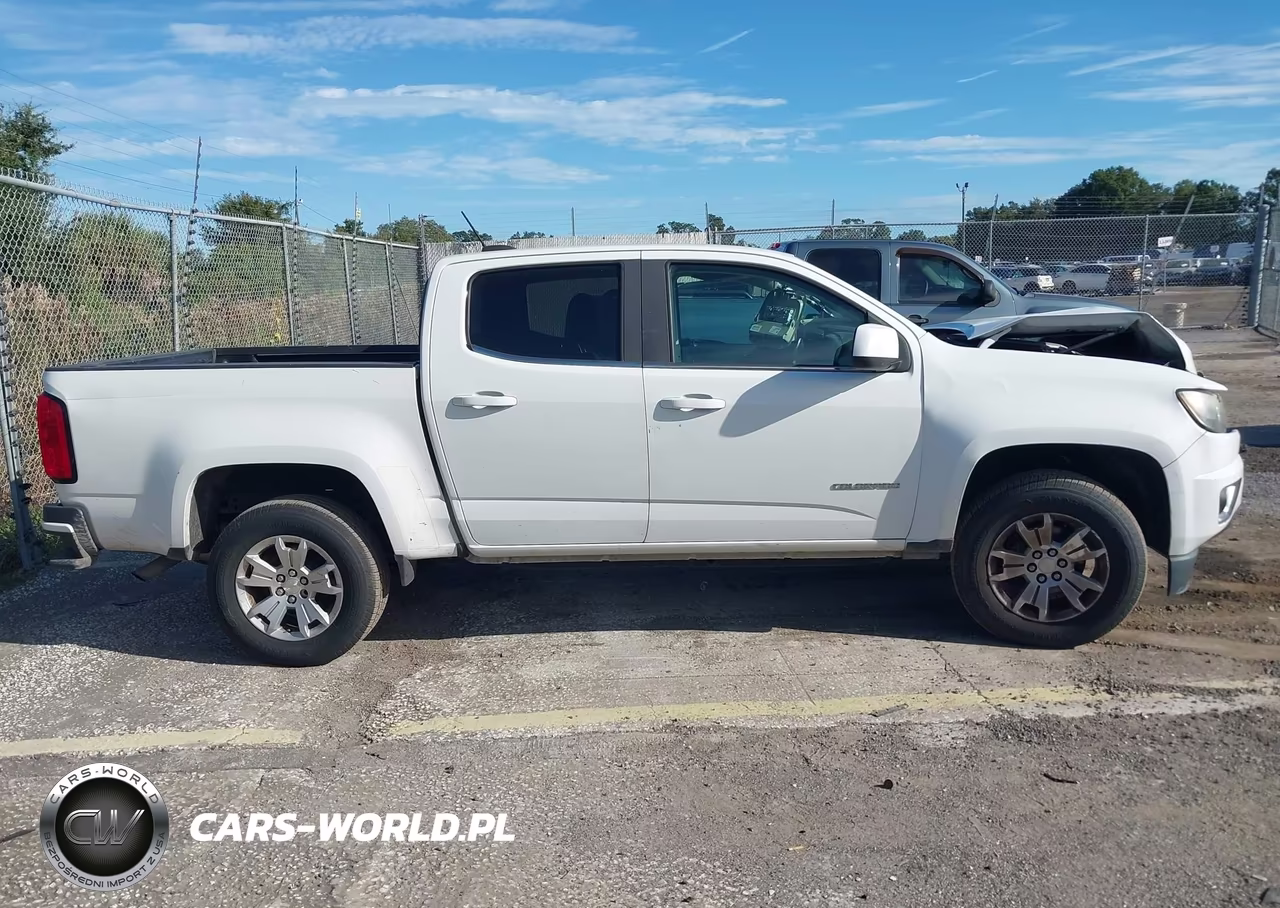 2018 Chevrolet Colorado Lt VIN:1GCGSCEN9J1151784 - 13