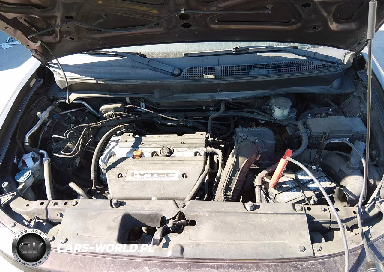 2007 Honda Element Sc VIN:5J6YH17987L014432 - 10