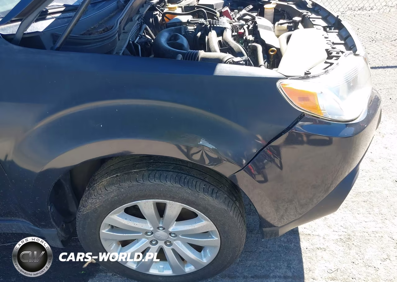 2013 Subaru Forester 2.5X Limited VIN:JF2SHAFC2DH405696 - 6