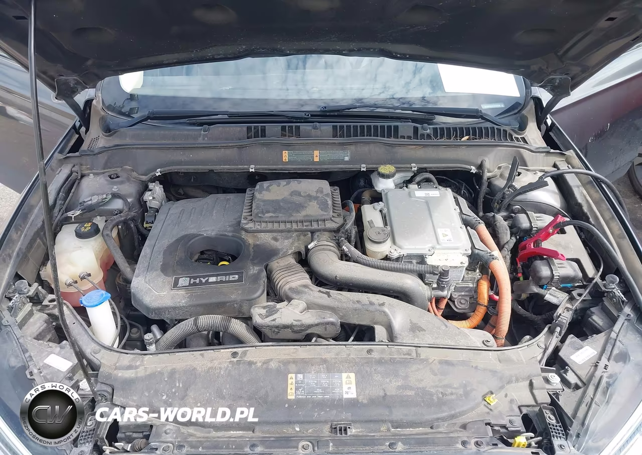 2018 Ford Fusion Hybrid Titanium VIN:3FA6P0RUXJR269948 - 10