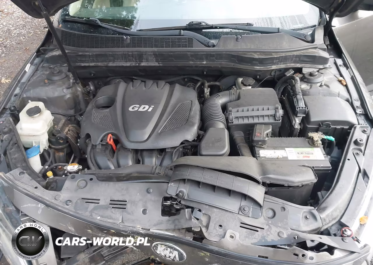 2015 Kia Optima Ex VIN:5XXGN4A77FG353121 - 10