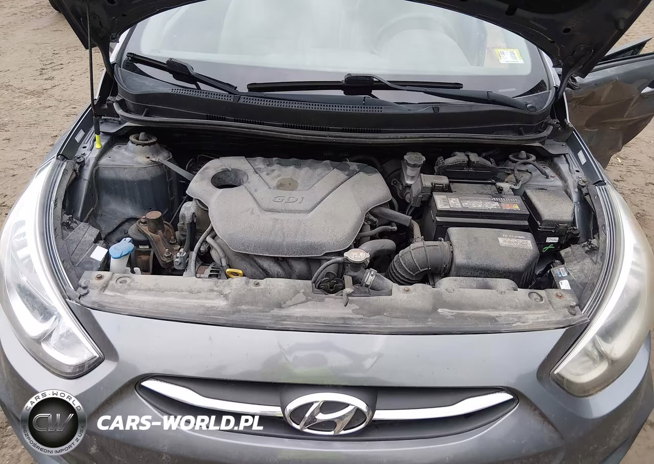 2017 Hyundai Accent Se VIN:KMHCT4AE7HU316100 - 10