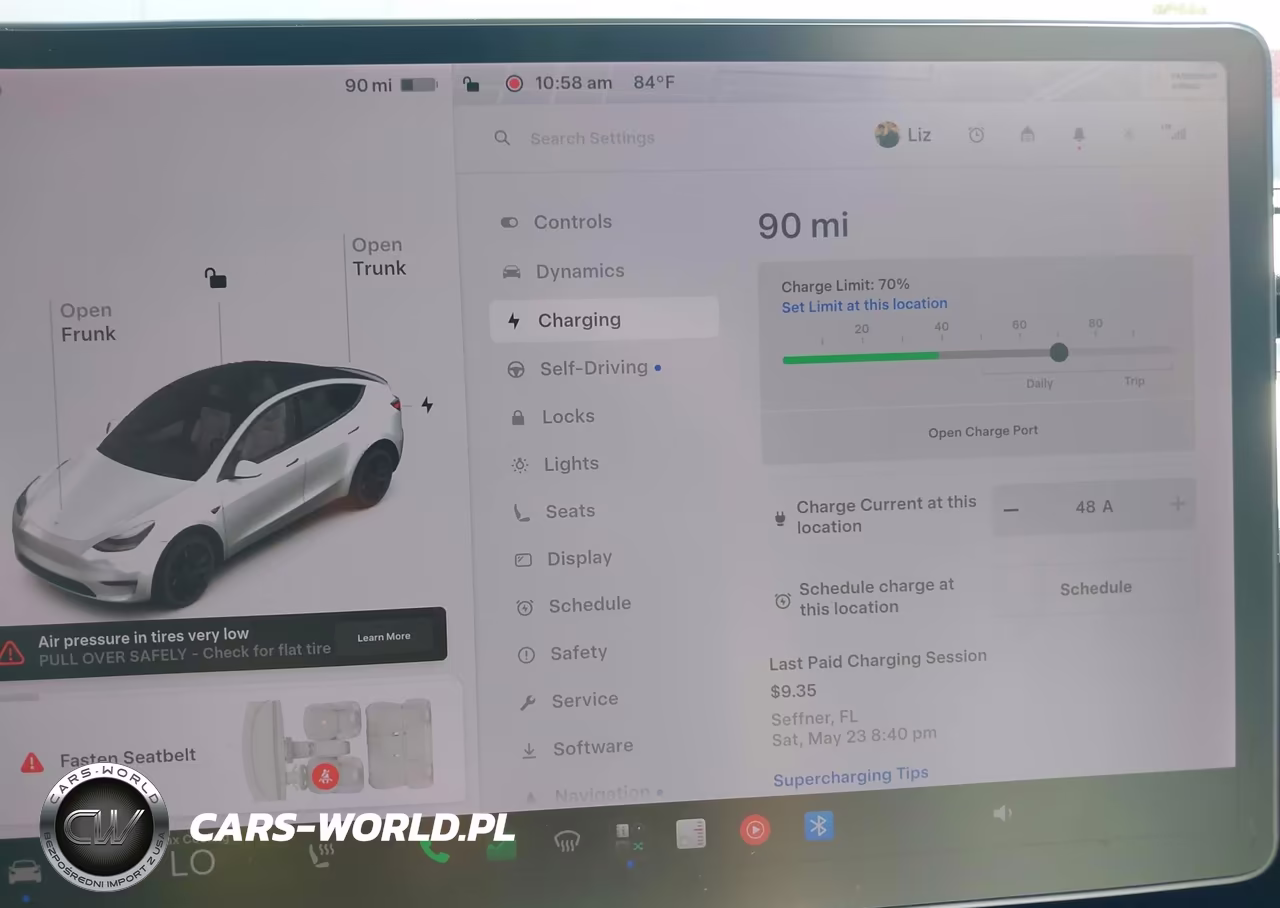 2021 Tesla Model Y Performance Dual Motor All-Wheel Drive VIN:5YJYGDEF6MF073416 - 17