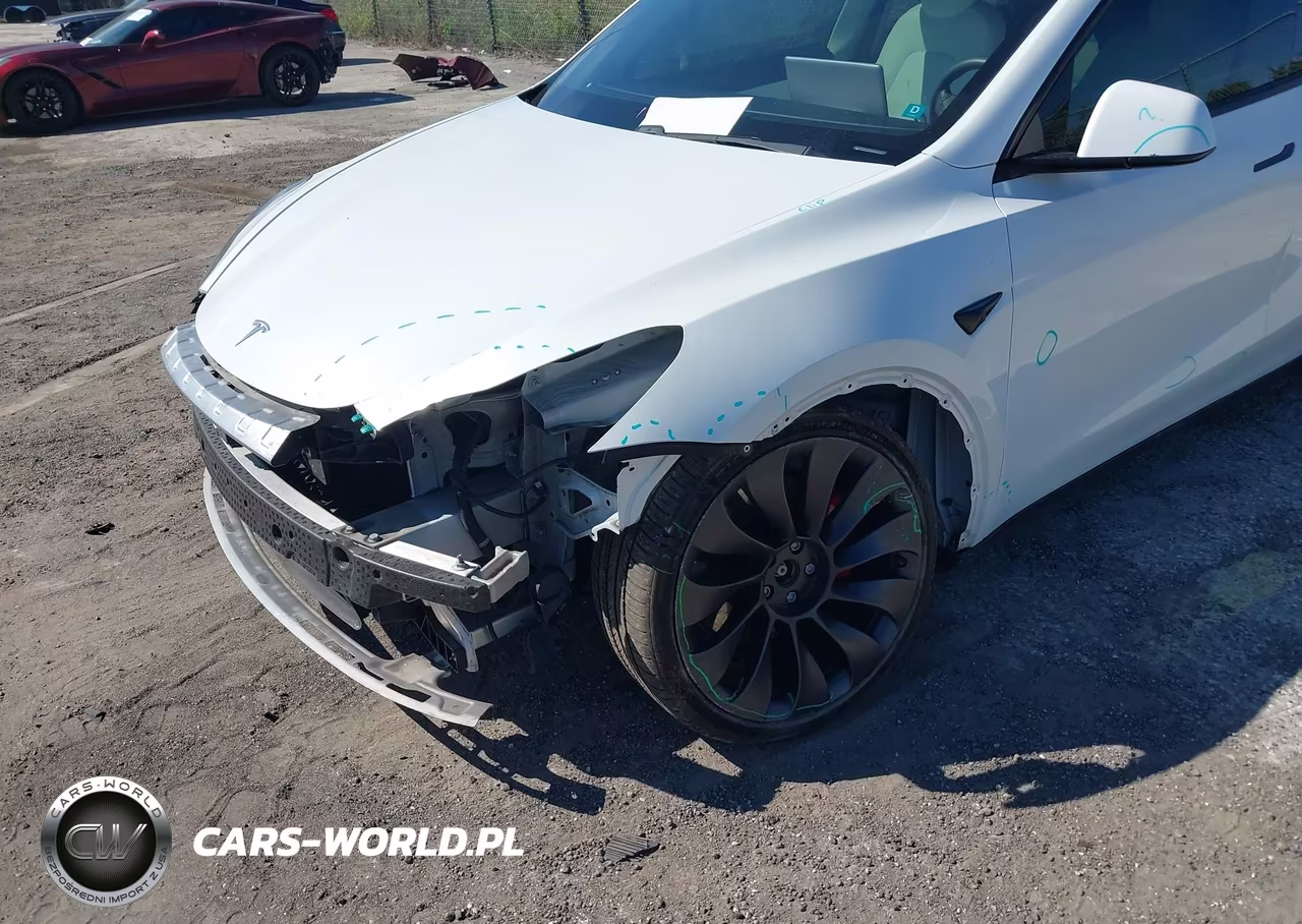 2021 Tesla Model Y Performance Dual Motor All-Wheel Drive VIN:5YJYGDEF6MF073416 - 19