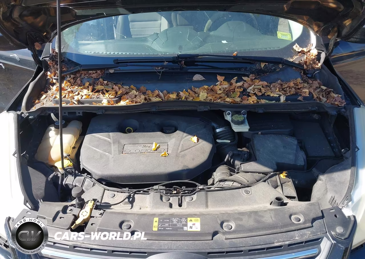 2013 Ford Escape Se VIN:1FMCU9G92DUB05482 - 10