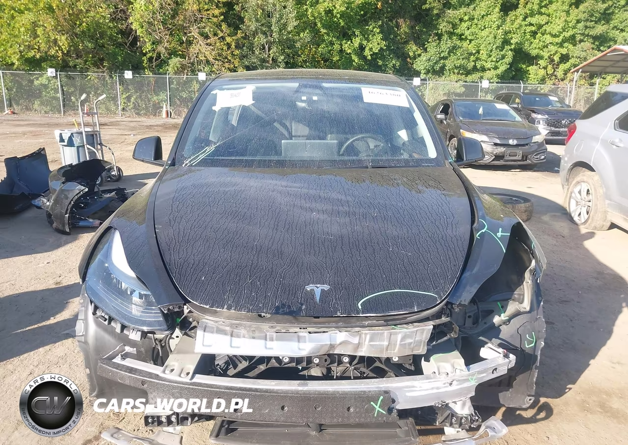 2025 Tesla Model Y Performance Dual Motor All-Wheel Drive VIN:7SAYGDEF7SF310561 - 12