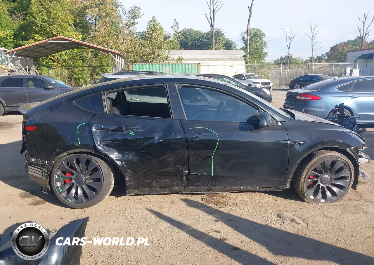 2025 Tesla Model Y Performance Dual Motor All-Wheel Drive VIN:7SAYGDEF7SF310561 - 13