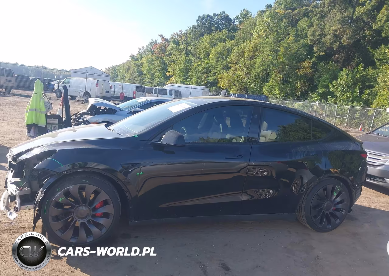 2025 Tesla Model Y Performance Dual Motor All-Wheel Drive VIN:7SAYGDEF7SF310561 - 14