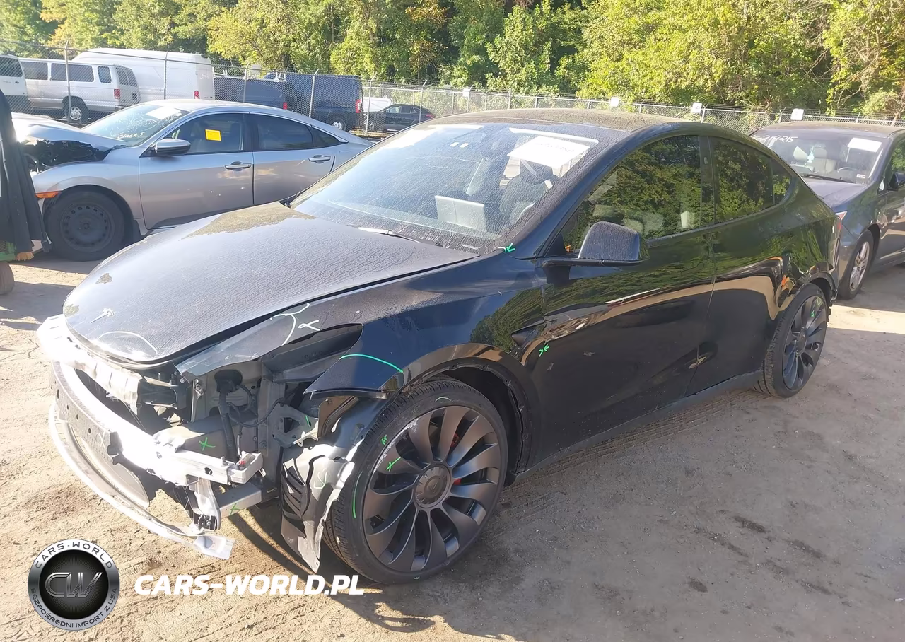 2025 Tesla Model Y Performance Dual Motor All-Wheel Drive VIN:7SAYGDEF7SF310561 - 2