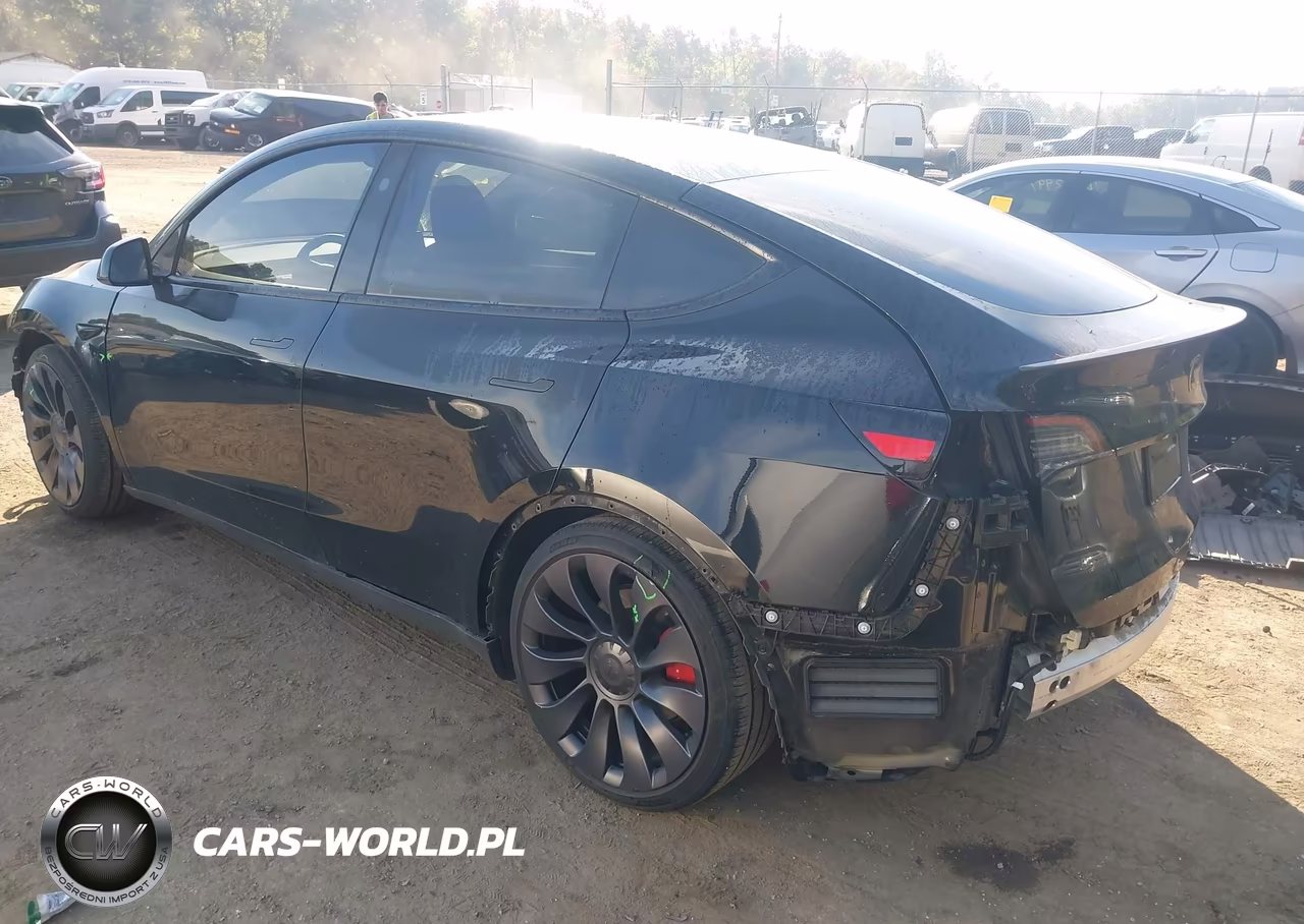 2025 Tesla Model Y Performance Dual Motor All-Wheel Drive VIN:7SAYGDEF7SF310561 - 3