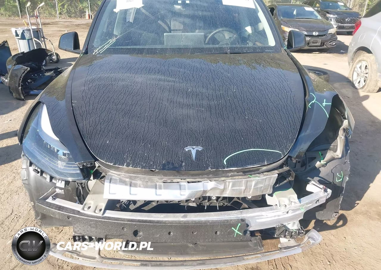 2025 Tesla Model Y Performance Dual Motor All-Wheel Drive VIN:7SAYGDEF7SF310561 - 6