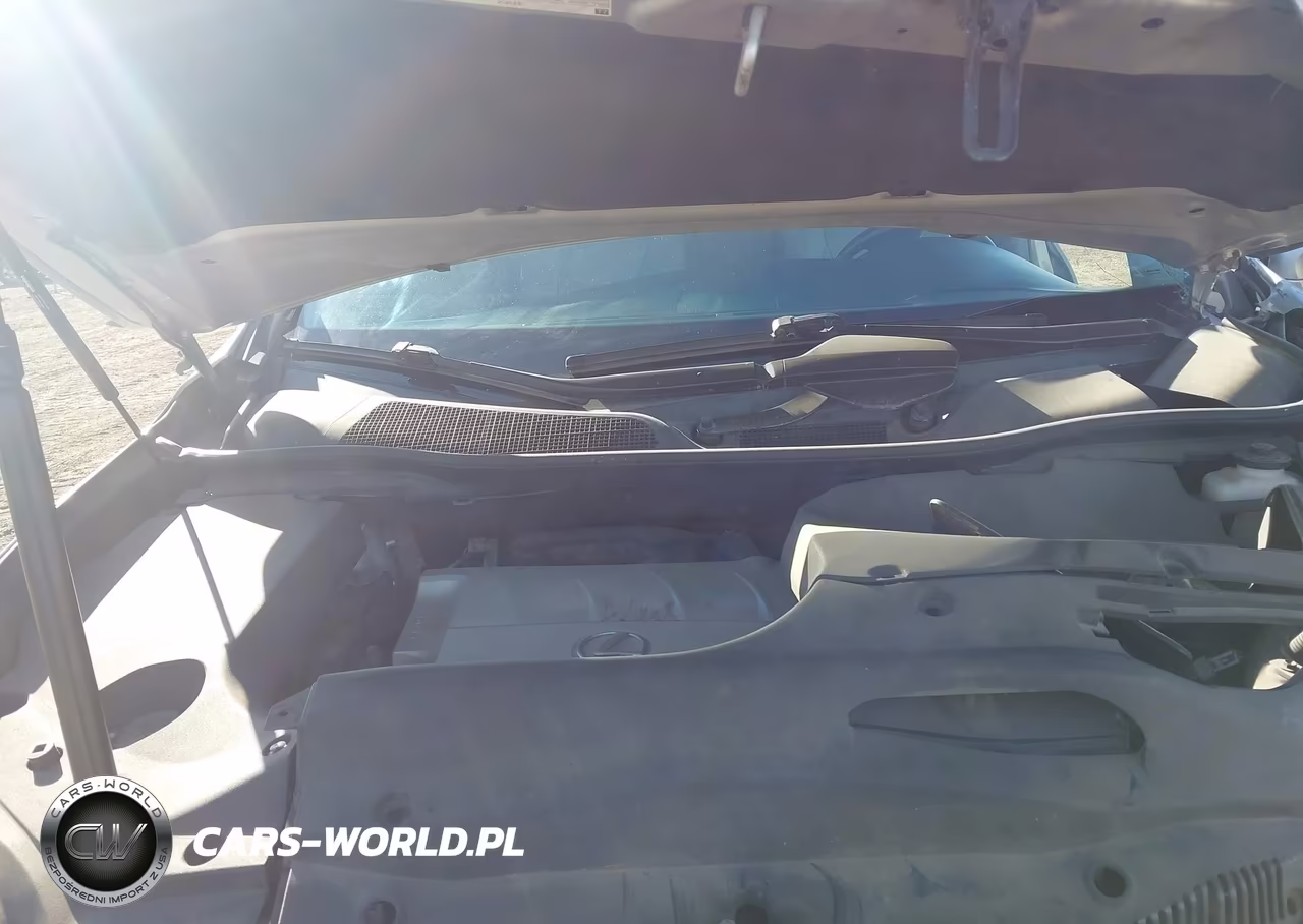 2010 Lexus Rx 350 VIN:2T2BK1BA2AC030666 - 10