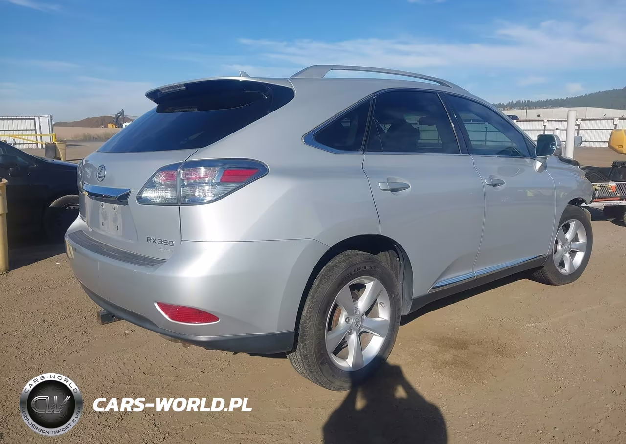 2010 Lexus Rx 350 VIN:2T2BK1BA2AC030666 - 4