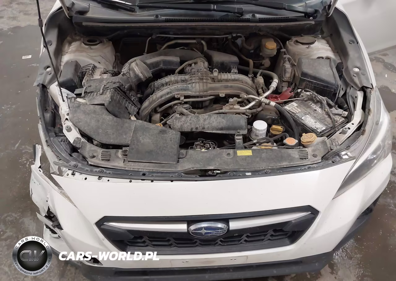 2019 Subaru Crosstrek 2.0I VIN:JF2GTABC0KH386511 - 10