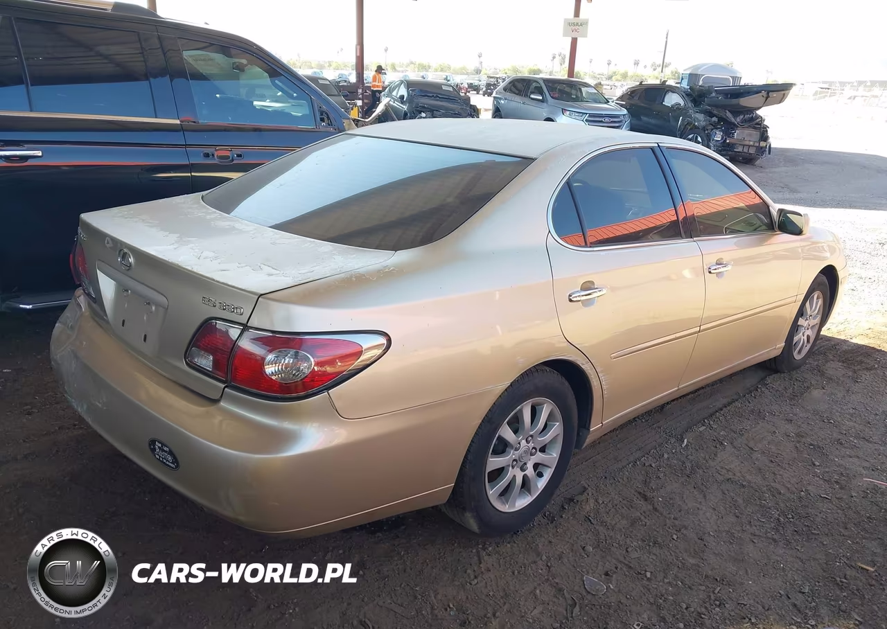 2004 Lexus Es 330 VIN:JTHBA30GX45010482 - 4