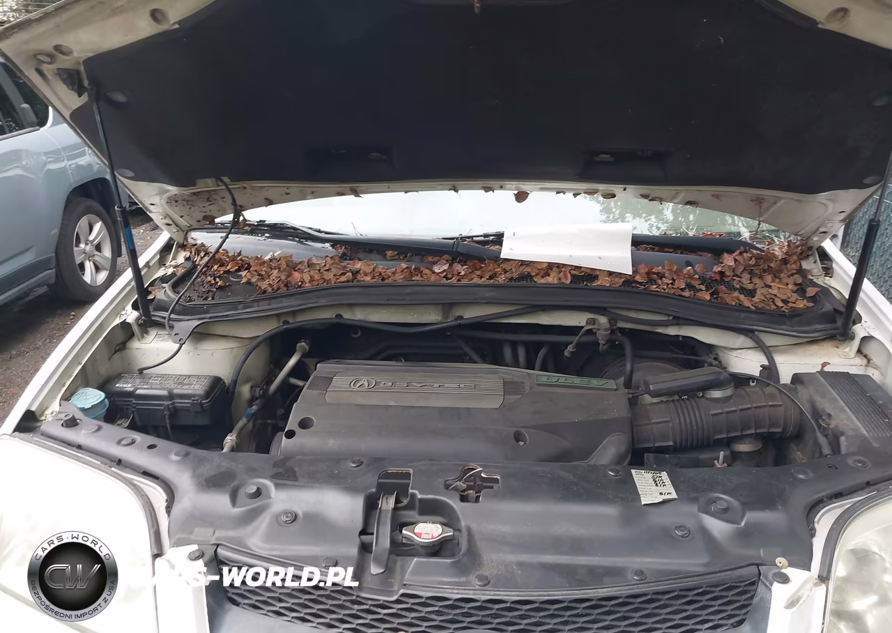 2002 Acura Mdx VIN:2HNYD18642H527313 - 10