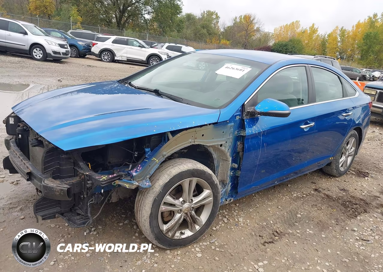 2018 Hyundai Sonata Sel VIN:5NPE34AF9JH644429 - 2