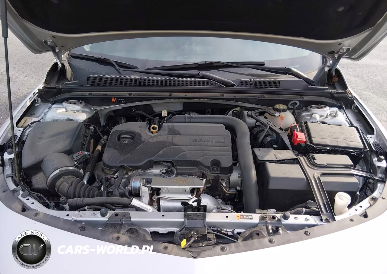 2019 Chevrolet Malibu 1Fl VIN:1G1ZC5ST1KF208402 - 10