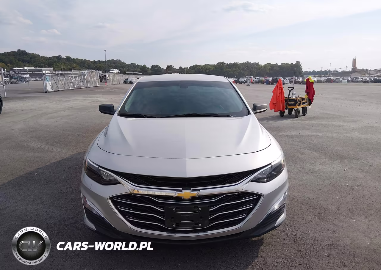 2019 Chevrolet Malibu 1Fl VIN:1G1ZC5ST1KF208402 - 12