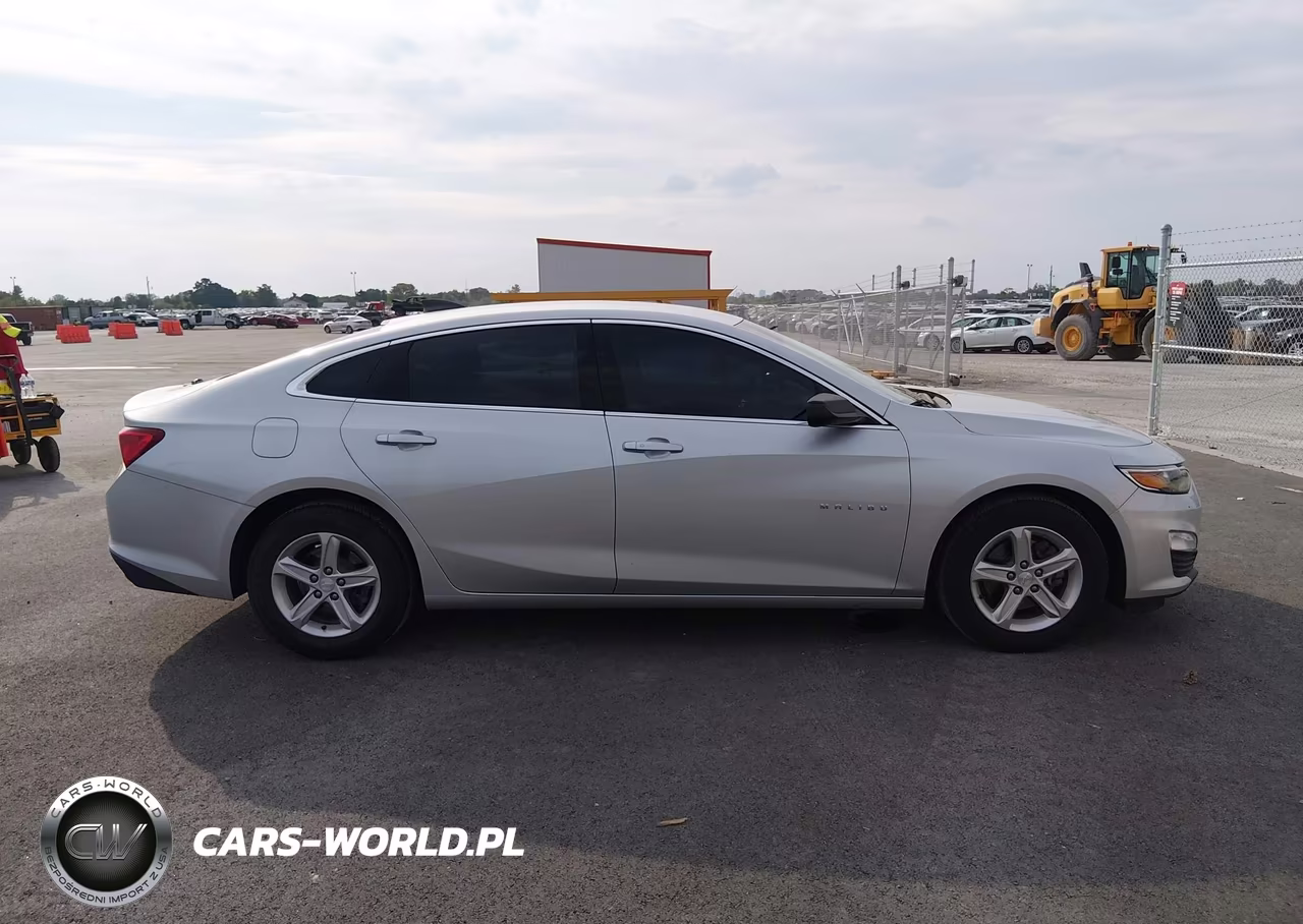 2019 Chevrolet Malibu 1Fl VIN:1G1ZC5ST1KF208402 - 13