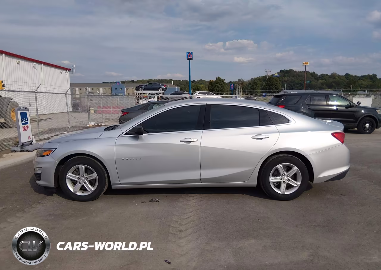 2019 Chevrolet Malibu 1Fl VIN:1G1ZC5ST1KF208402 - 14