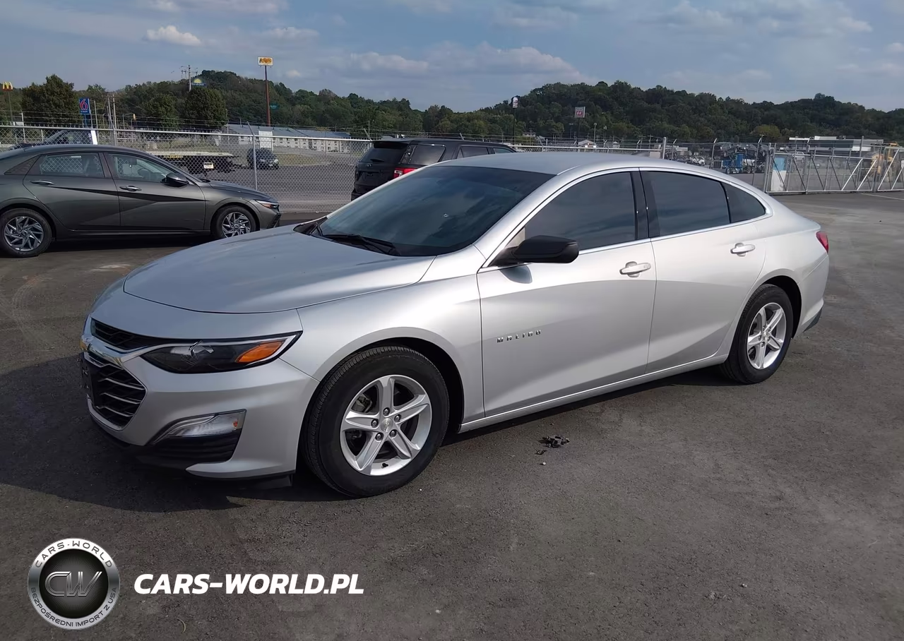 2019 Chevrolet Malibu 1Fl VIN:1G1ZC5ST1KF208402 - 2