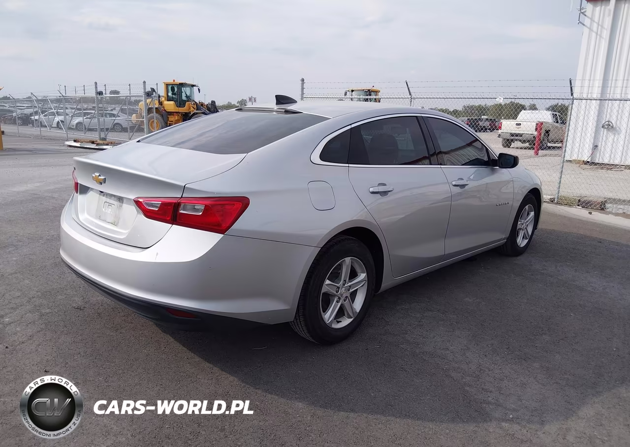 2019 Chevrolet Malibu 1Fl VIN:1G1ZC5ST1KF208402 - 4