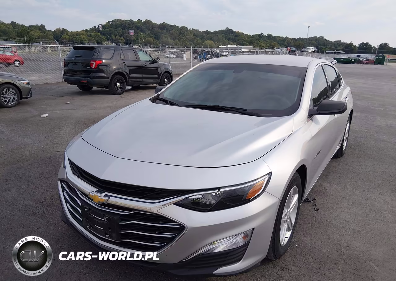 2019 Chevrolet Malibu 1Fl VIN:1G1ZC5ST1KF208402 - 6