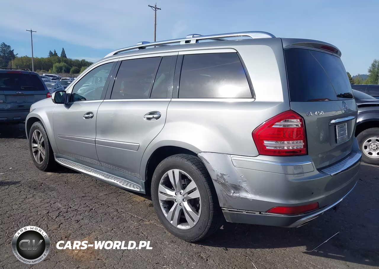 2010 Mercedes-Benz Gl 450 4Matic VIN:4JGBF7BE3AA595734 - 3