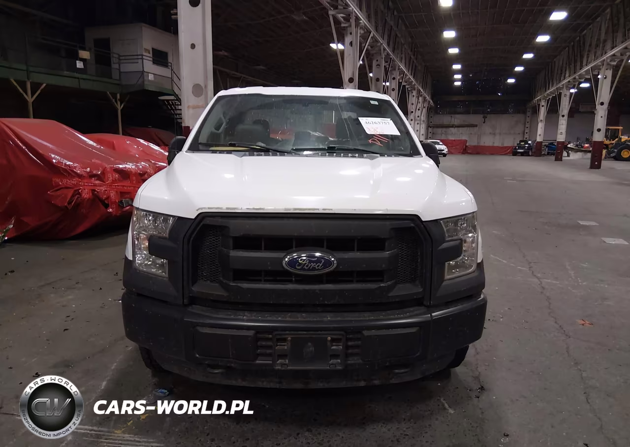 2015 Ford F-150 Xl VIN:1FTEX1E87FKE18199 - 12