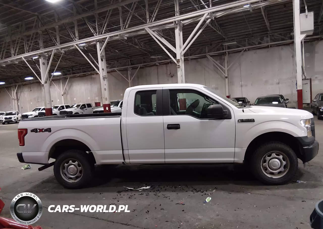 2015 Ford F-150 Xl VIN:1FTEX1E87FKE18199 - 13