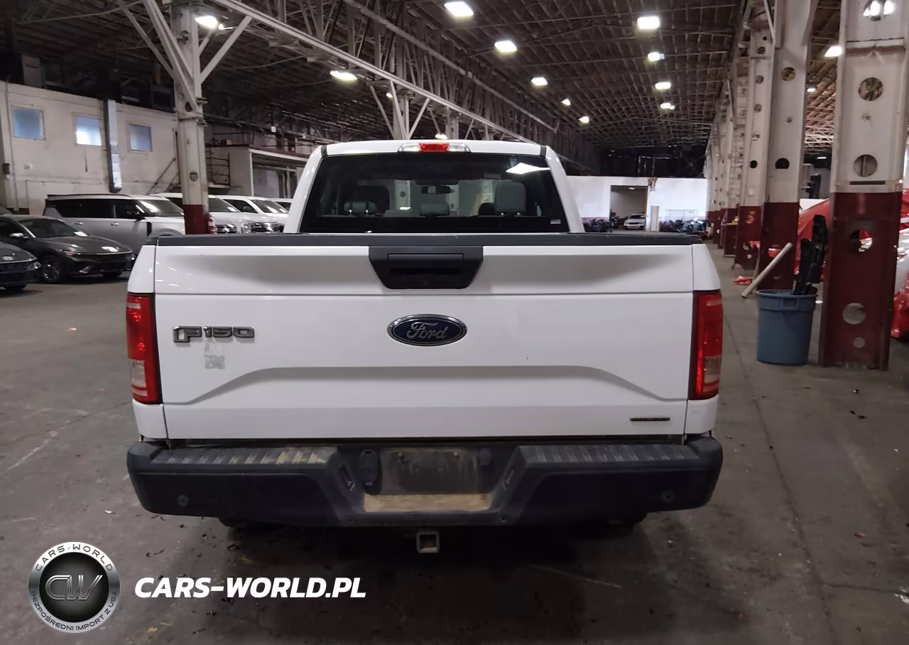 2015 Ford F-150 Xl VIN:1FTEX1E87FKE18199 - 16