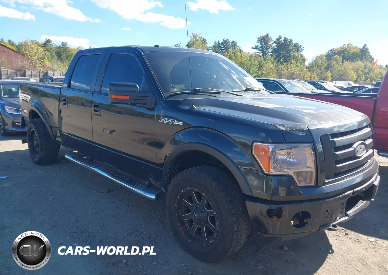 2010 Ford F-150 Fx4-Harley-Davidson-King Ranch-Lariat-Platinum-Xl-Xlt