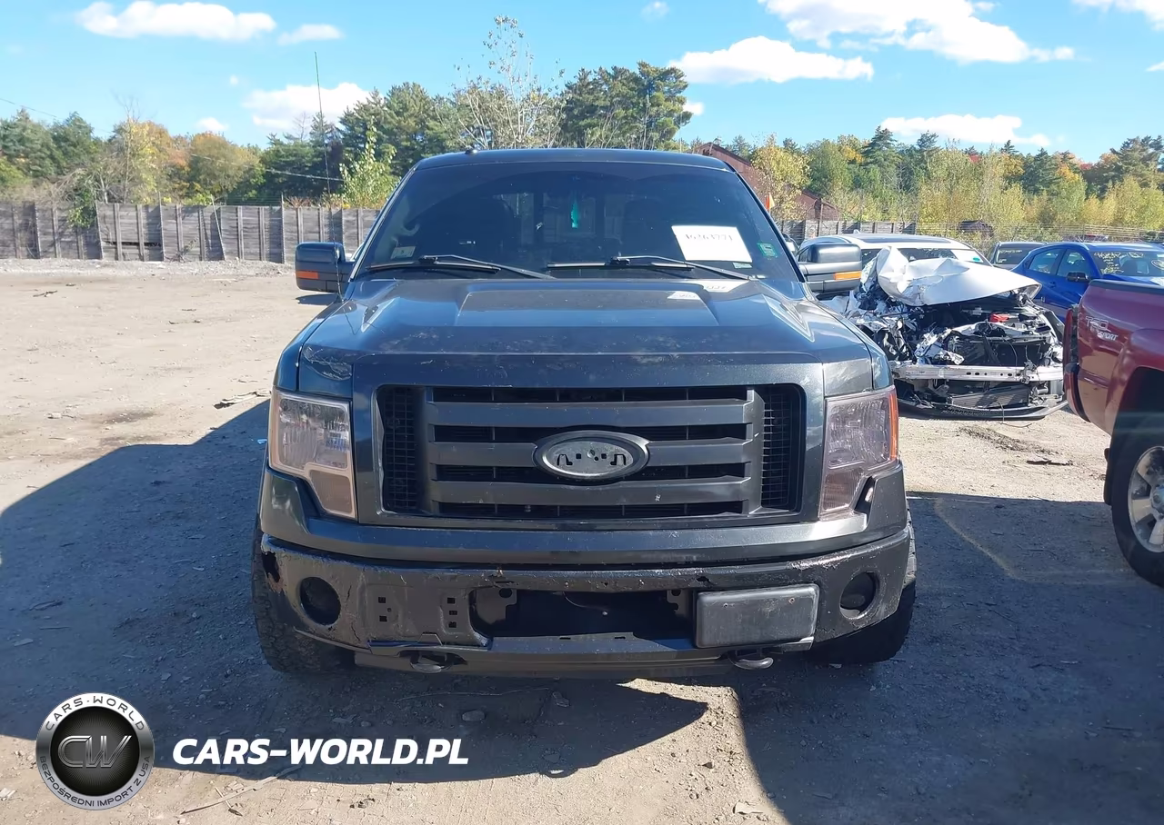 2010 Ford F-150 Fx4-Harley-Davidson-King Ranch-Lariat-Platinum-Xl-Xlt VIN:1FTFW1EV9AFB79575 - 12