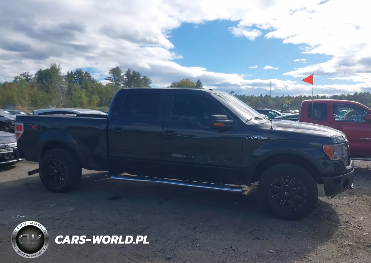 2010 Ford F-150 Fx4-Harley-Davidson-King Ranch-Lariat-Platinum-Xl-Xlt VIN:1FTFW1EV9AFB79575 - 13