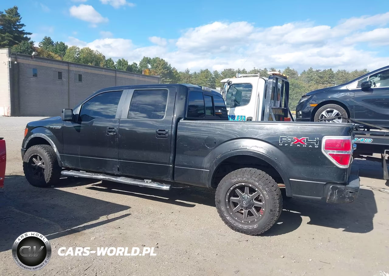 2010 Ford F-150 Fx4-Harley-Davidson-King Ranch-Lariat-Platinum-Xl-Xlt VIN:1FTFW1EV9AFB79575 - 14