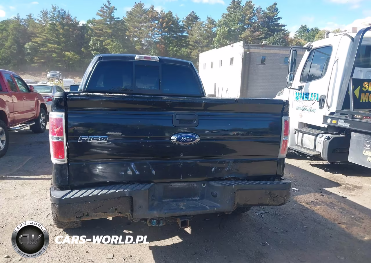 2010 Ford F-150 Fx4-Harley-Davidson-King Ranch-Lariat-Platinum-Xl-Xlt VIN:1FTFW1EV9AFB79575 - 16