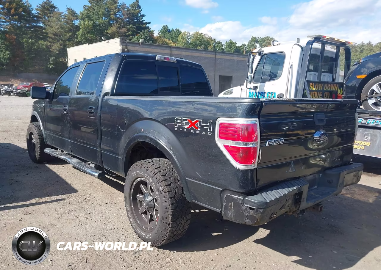 2010 Ford F-150 Fx4-Harley-Davidson-King Ranch-Lariat-Platinum-Xl-Xlt VIN:1FTFW1EV9AFB79575 - 3
