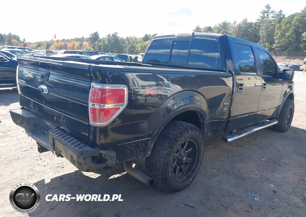 2010 Ford F-150 Fx4-Harley-Davidson-King Ranch-Lariat-Platinum-Xl-Xlt VIN:1FTFW1EV9AFB79575 - 4