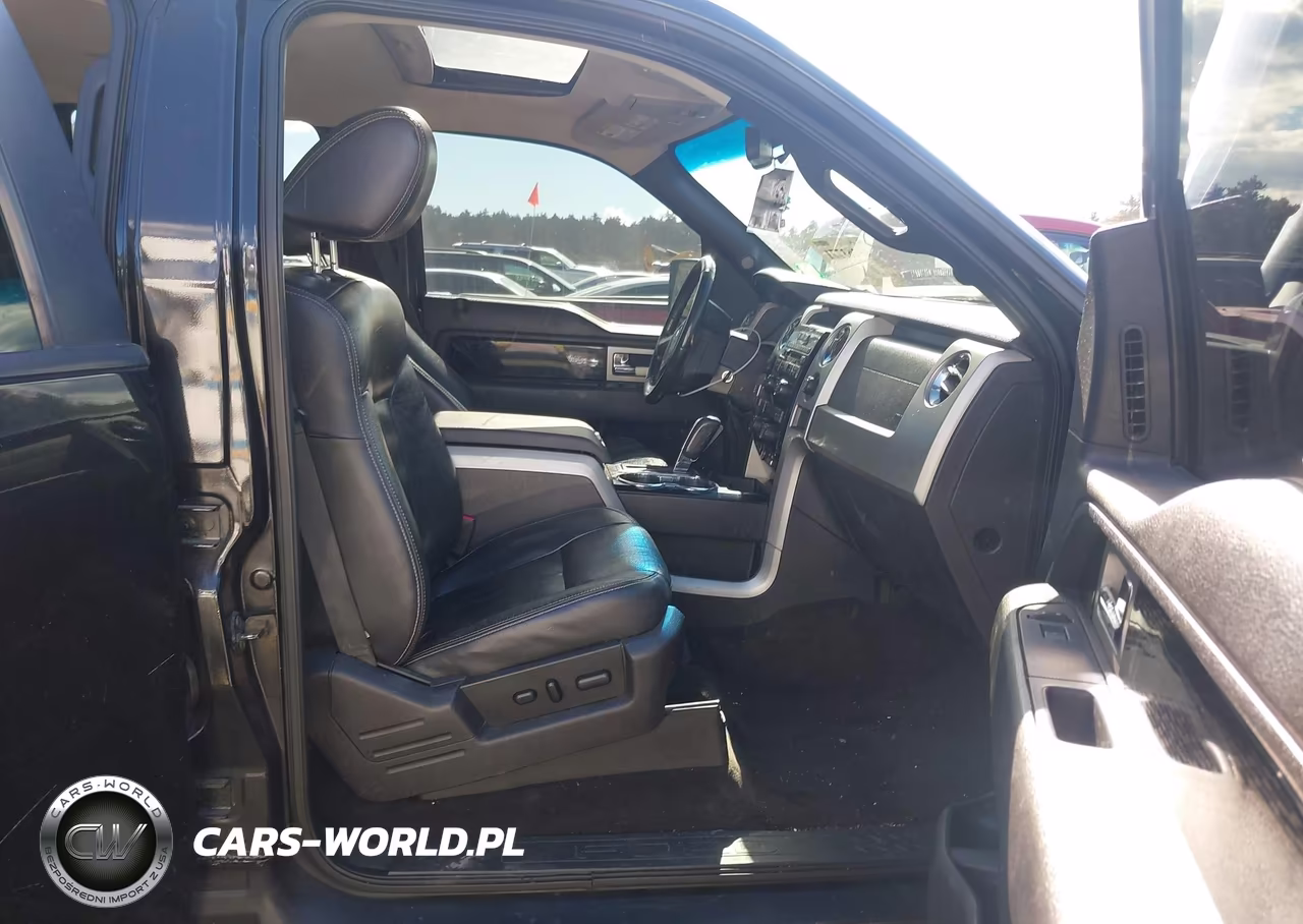 2010 Ford F-150 Fx4-Harley-Davidson-King Ranch-Lariat-Platinum-Xl-Xlt VIN:1FTFW1EV9AFB79575 - 5