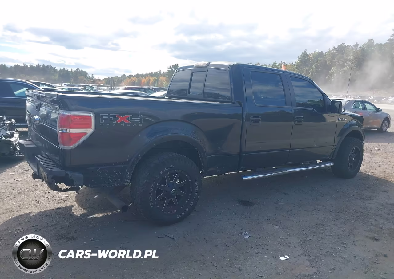 2010 Ford F-150 Fx4-Harley-Davidson-King Ranch-Lariat-Platinum-Xl-Xlt VIN:1FTFW1EV9AFB79575 - 6