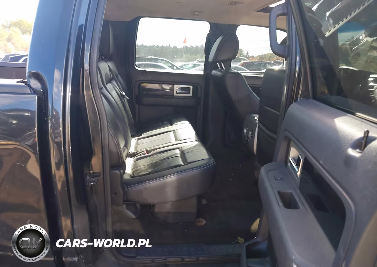2010 Ford F-150 Fx4-Harley-Davidson-King Ranch-Lariat-Platinum-Xl-Xlt VIN:1FTFW1EV9AFB79575 - 8