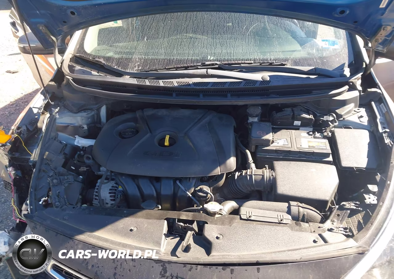 2014 Kia Forte Koup Ex VIN:KNAFX6A86E5226760 - 10