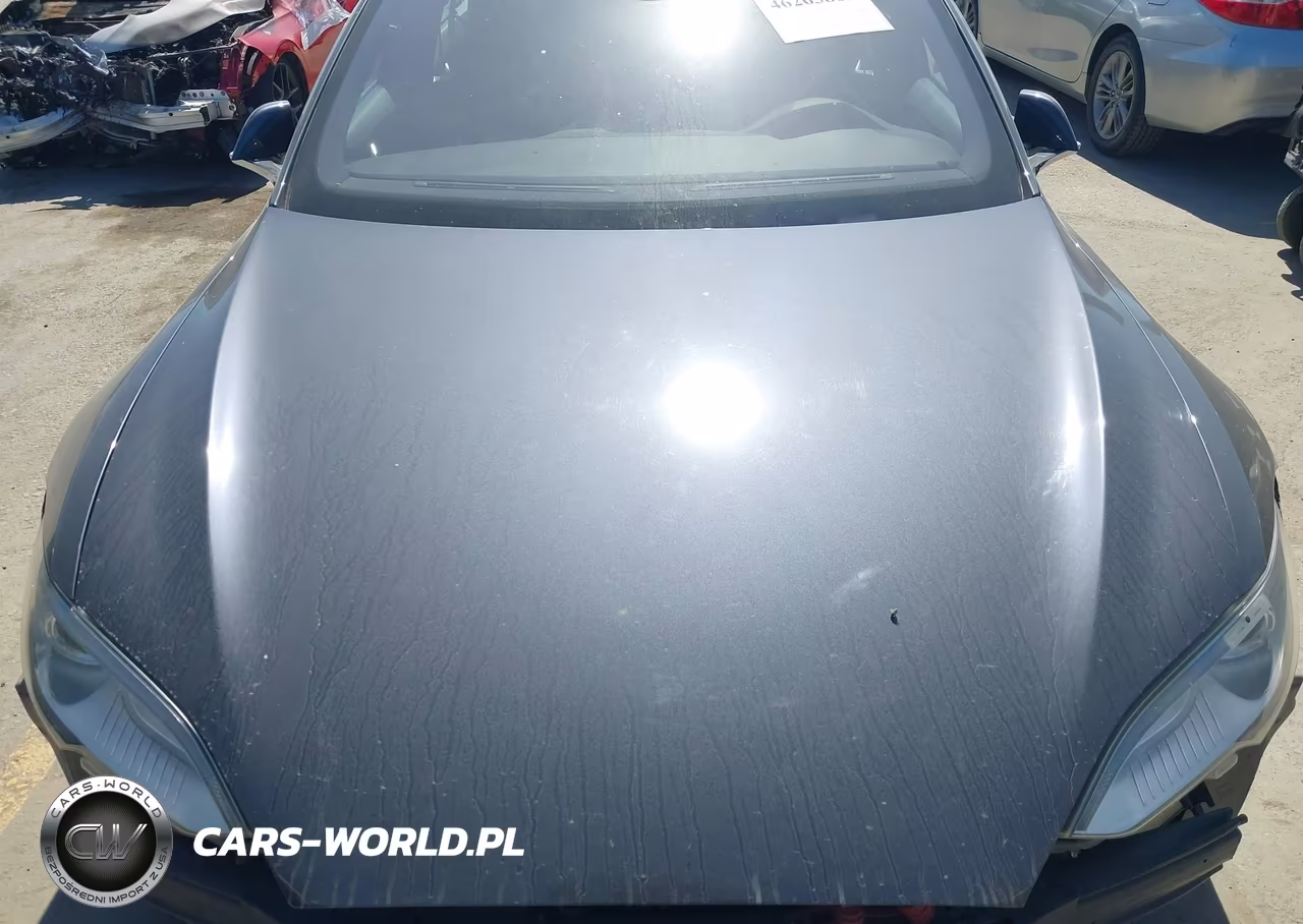 2015 Tesla Model S 60-70-85 VIN:5YJSA1H16FFP79794 - 10